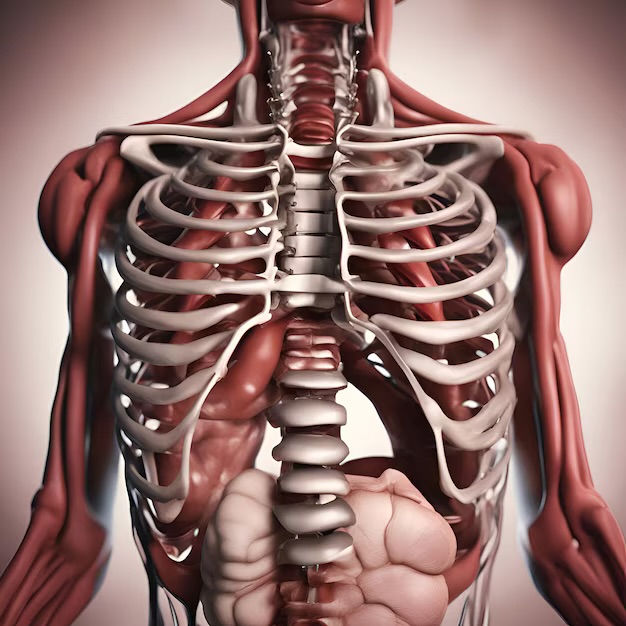 BLOQUE III: ANATOMÍA​